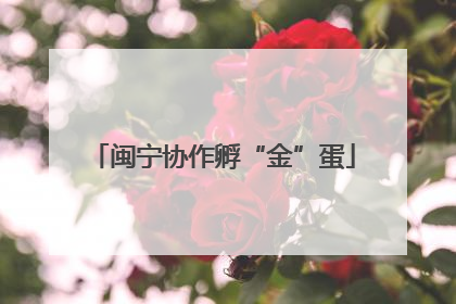 闽宁协作孵“金”蛋