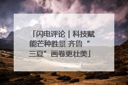 闪电评论｜科技赋能芒种胜景 齐鲁“三夏”画卷更壮美