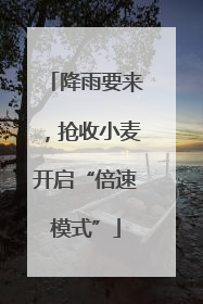 降雨要来，抢收小麦开启“倍速模式”