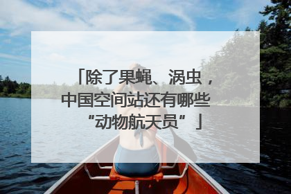 除了果蝇、涡虫，中国空间站还有哪些“动物航天员”