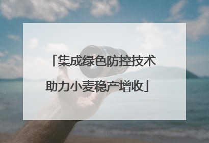 集成绿色防控技术助力小麦稳产增收