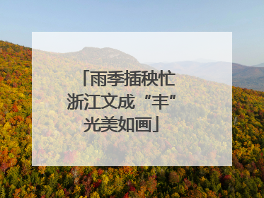 雨季插秧忙 浙江文成“丰”光美如画