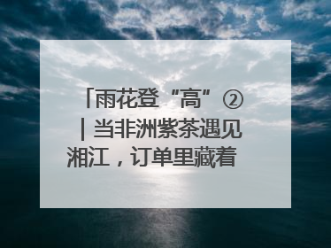 雨花登“高”②｜当非洲紫茶遇见湘江，订单里藏着共富密码