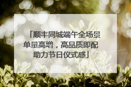 顺丰同城端午全场景单量高增，高品质即配助力节日仪式感
