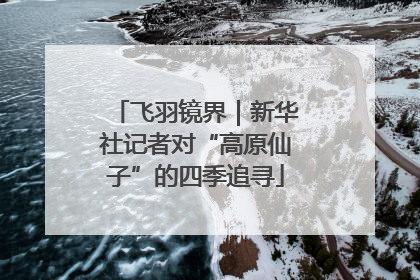 飞羽镜界｜新华社记者对“高原仙子”的四季追寻
