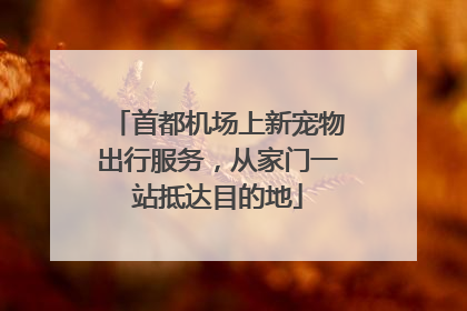 首都机场上新宠物出行服务，从家门一站抵达目的地