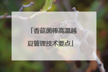 香菇菌棒高温越夏管理技术要点
