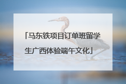 马东铁项目订单班留学生广西体验端午文化