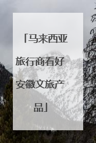 马来西亚旅行商看好安徽文旅产品