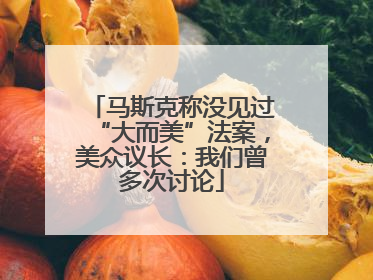 马斯克称没见过“大而美”法案，美众议长：我们曾多次讨论