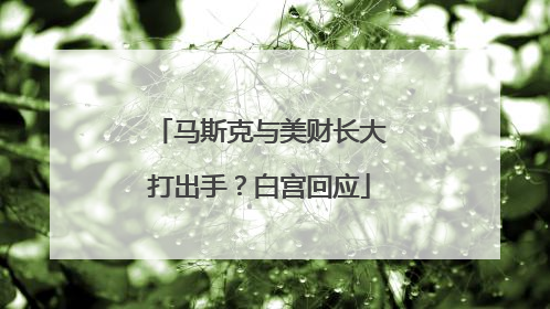 马斯克与美财长大打出手？白宫回应