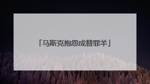 马斯克抱怨成替罪羊