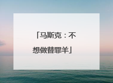 马斯克：不想做替罪羊