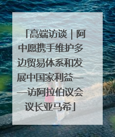 高端访谈｜阿中愿携手维护多边贸易体系和发展中国家利益——访阿拉伯议会议长亚马希