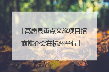 高唐县重点文旅项目招商推介会在杭州举行