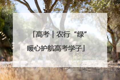 高考｜农行“绿”暖心护航高考学子