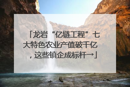 龙岩“亿链工程”七大特色农业产值破千亿，这些镇企成标杆→