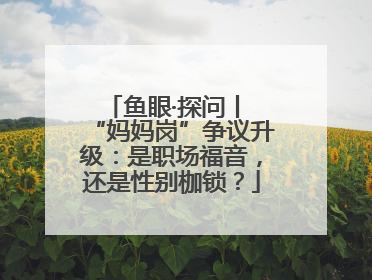 鱼眼·探问丨 “妈妈岗”争议升级：是职场福音，还是性别枷锁？