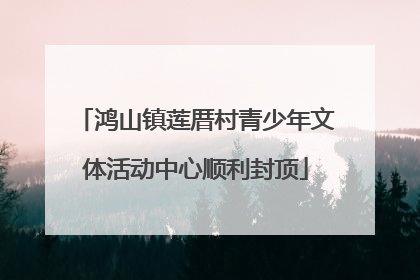 鸿山镇莲厝村青少年文体活动中心顺利封顶