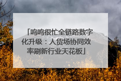 鸣鸣很忙全链路数字化升级：人货场协同效率刷新行业天花板