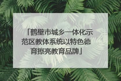鹤壁市城乡一体化示范区教体系统以特色德育擦亮教育品牌