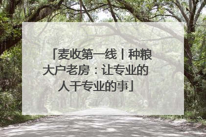 麦收第一线丨种粮大户老房：让专业的人干专业的事