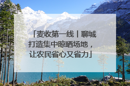 麦收第一线丨聊城打造集中晾晒场地，让农民省心又省力