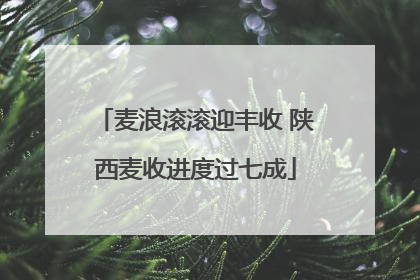麦浪滚滚迎丰收 陕西麦收进度过七成
