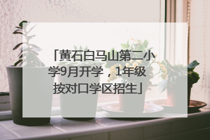 黄石白马山第二小学9月开学，1年级按对口学区招生