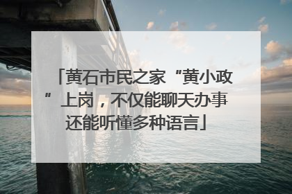 黄石市民之家“黄小政”上岗，不仅能聊天办事还能听懂多种语言