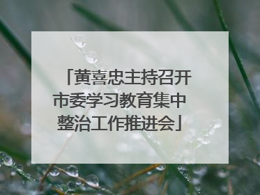 黄喜忠主持召开市委学习教育集中整治工作推进会