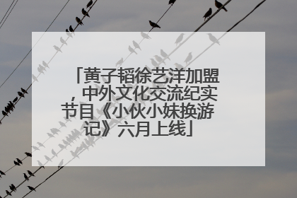 黄子韬徐艺洋加盟，中外文化交流纪实节目《小伙小妹换游记》六月上线