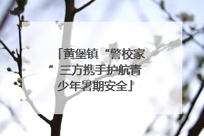 黄堡镇“警校家”三方携手护航青少年暑期安全