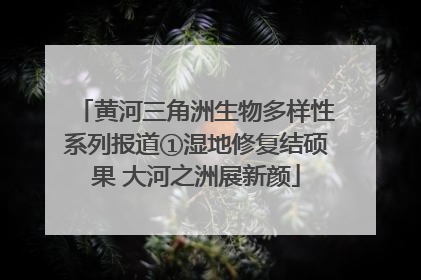 黄河三角洲生物多样性系列报道①湿地修复结硕果 大河之洲展新颜