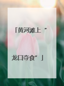 黄河滩上“龙口夺食”