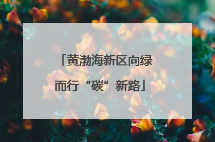 黄渤海新区向绿而行“碳”新路