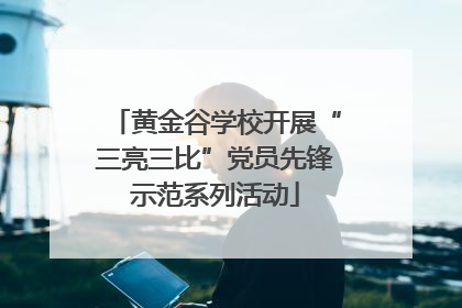 黄金谷学校开展“三亮三比”党员先锋示范系列活动
