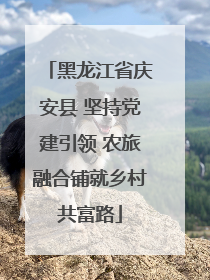 黑龙江省庆安县 坚持党建引领 农旅融合铺就乡村共富路