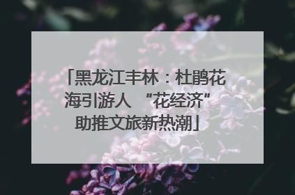 黑龙江丰林：杜鹃花海引游人 “花经济”助推文旅新热潮