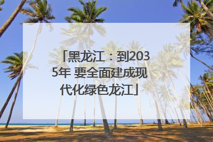 黑龙江：到2035年 要全面建成现代化绿色龙江