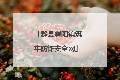 黟县碧阳镇筑牢防诈安全网