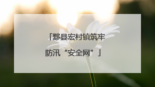 黟县宏村镇筑牢防汛“安全网”