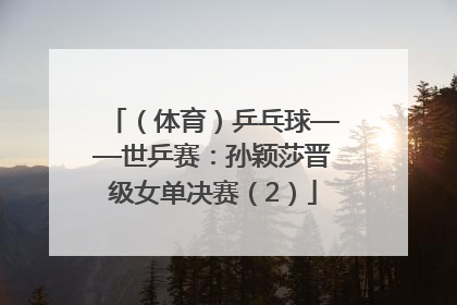 （体育）乒乓球——世乒赛：孙颖莎晋级女单决赛（2）