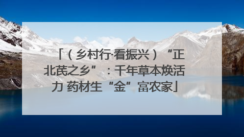 （乡村行·看振兴）“正北芪之乡”：千年草本焕活力 药材生“金”富农家
