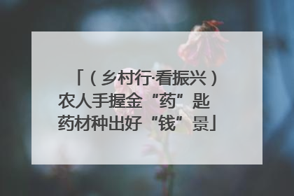 （乡村行·看振兴）农人手握金“药”匙 药材种出好“钱”景