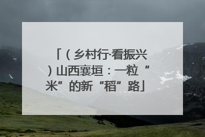 （乡村行·看振兴）山西襄垣：一粒“米”的新“稻”路