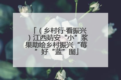 （乡村行·看振兴）江西靖安“小”浆果助绘乡村振兴“莓”好“蓝”图
