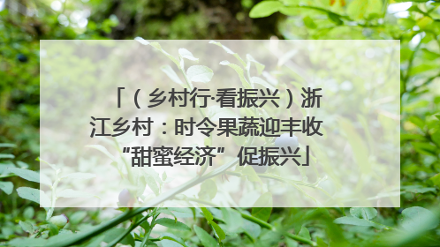 （乡村行·看振兴）浙江乡村：时令果蔬迎丰收 “甜蜜经济”促振兴