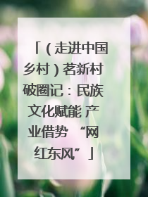 （走进中国乡村）茗新村破圈记：民族文化赋能 产业借势 “网红东风”