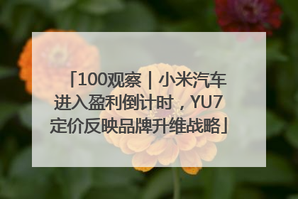 100观察｜小米汽车进入盈利倒计时，YU7定价反映品牌升维战略